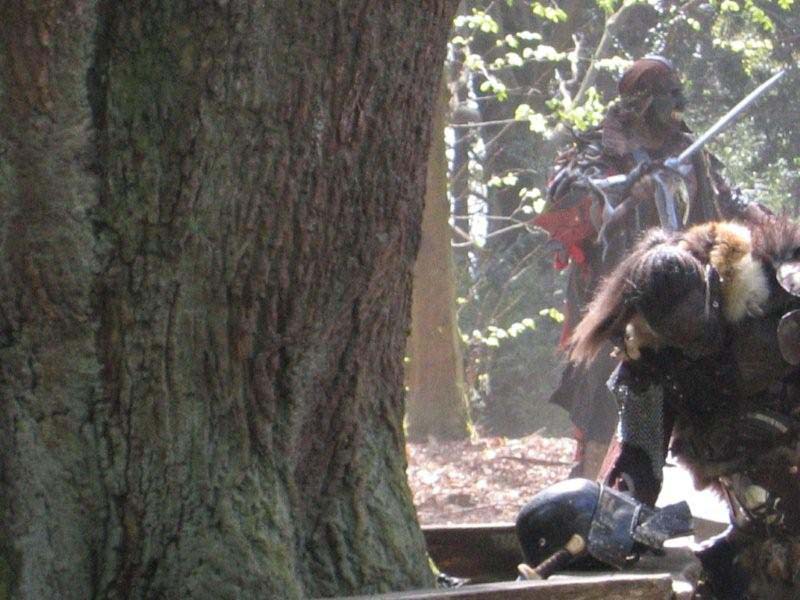 Versina_LARP044