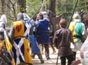 Versina_LARP040