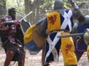 Versina_LARP046