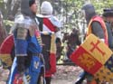 Versina_LARP049