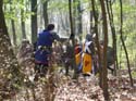 Versina_LARP060