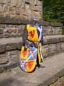Versina_LARP061