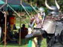 Versina_LARP080