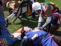 Versina_LARP089