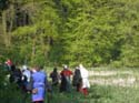 Versina_LARP113