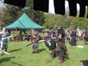 Versina_LARP126
