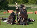 Versina_LARP131